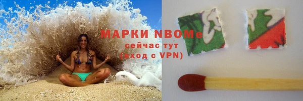 дживик Вязьма