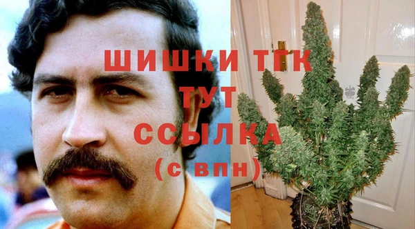 дживик Вязьма