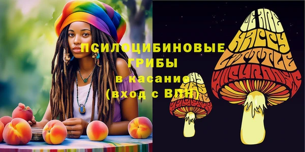 дмт Вязники
