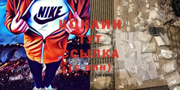 дживик Вязьма