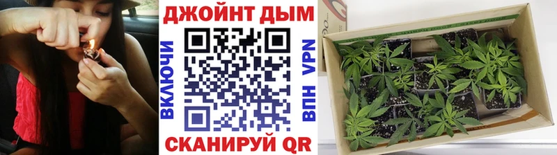 Купить  Белоозёрский  Каннабис план 